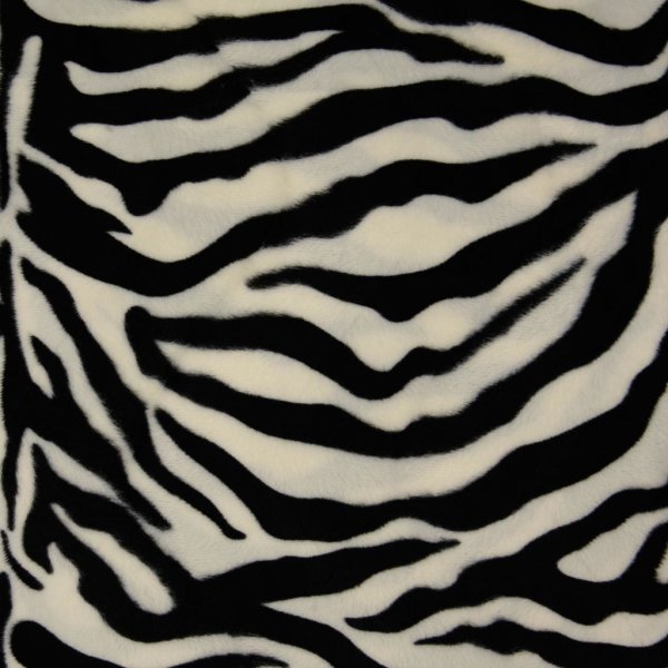 Fellimitat Zebra