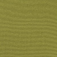 BW-Jersey feine Streifen grün
