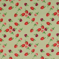 Popline  Erdbeeren