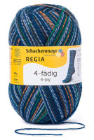 Regia 4-fädig Color 100 g  beduine color  03771